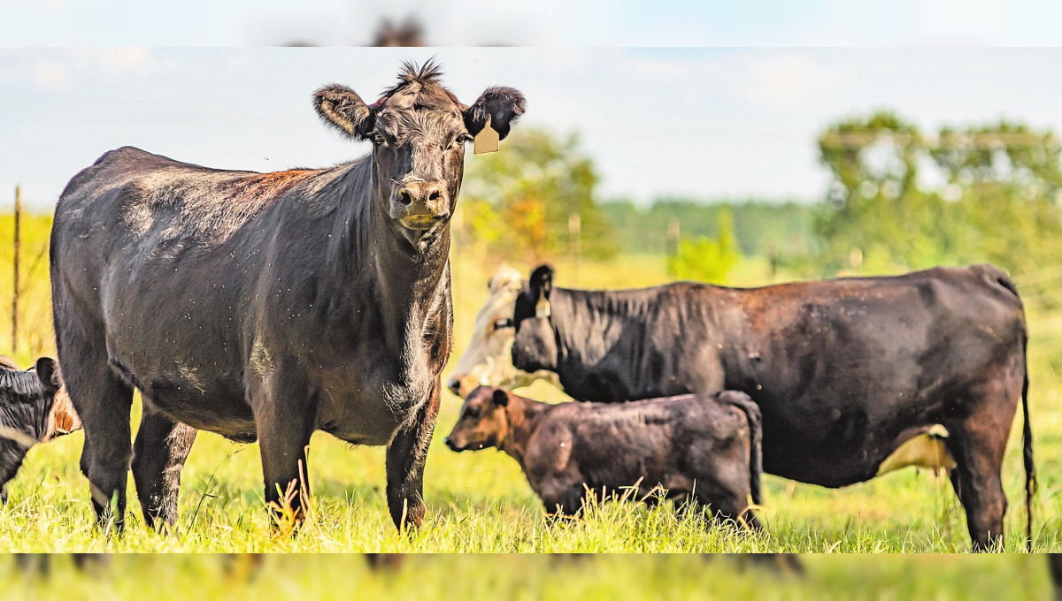 Neue Wege in der Landwirtschaft