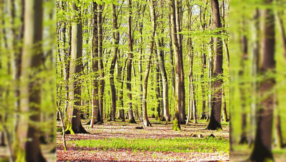 Für eine nachhaltige Natur