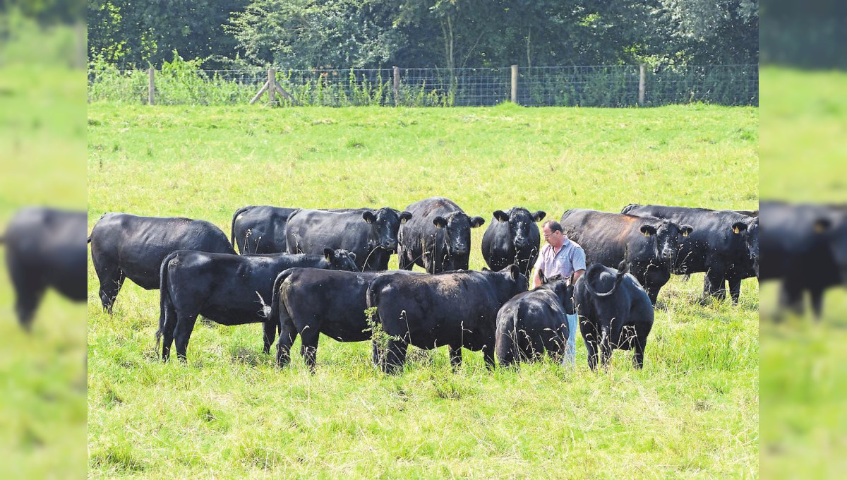 Goûter à la biodiversité