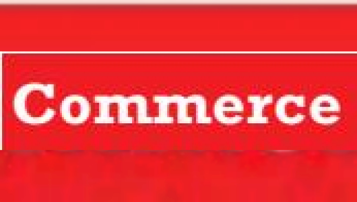 Vorsicht vor Fake-Shops