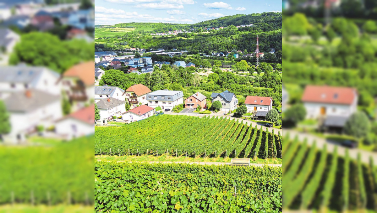 Die Metropole an der Mosel 