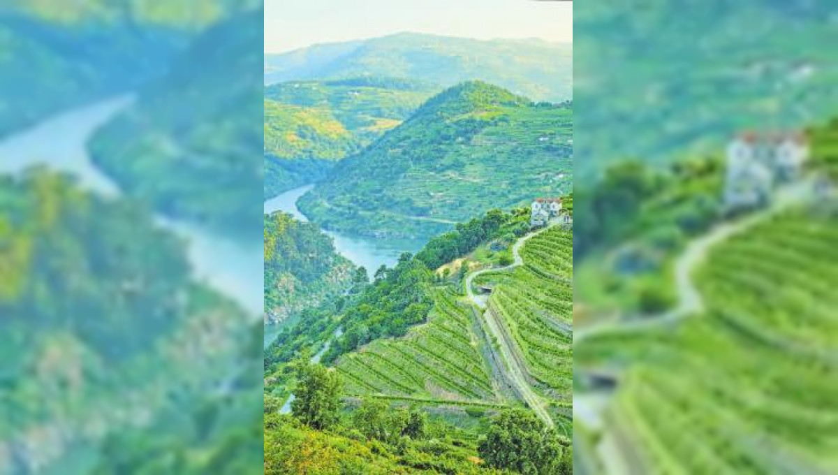 Douro-Tal an Bord der Queen Isabel