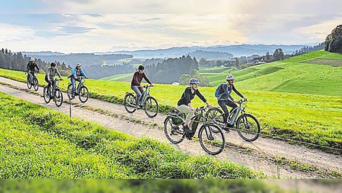 E-Bikes zum Probefahren