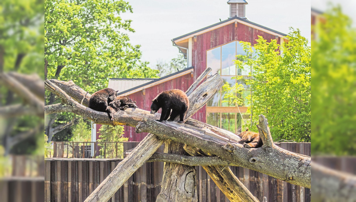 Cet été, (re)connectez-vous à la Nature