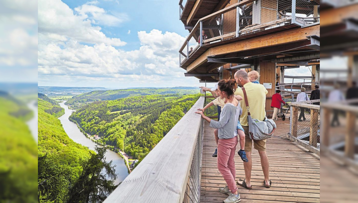 Hochgefühle auf dem Baumwipfelpfad Saarschleife