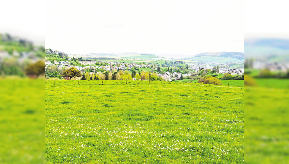 Die Stadt am Fuße der Ardennen