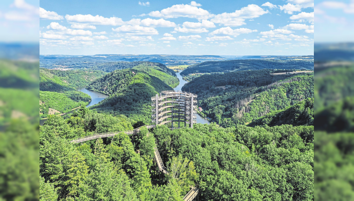 Wipfelabenteuer für die ganze Familie