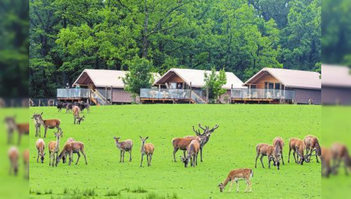 Cet été, (re)connectez-vous à la Nature 