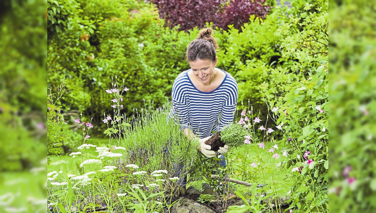 Kleiner Garten ganz groß