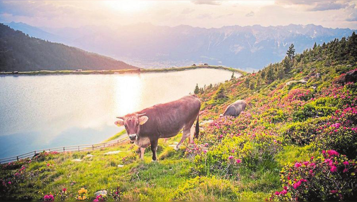 Kraft tanken in schönster Bergnatur