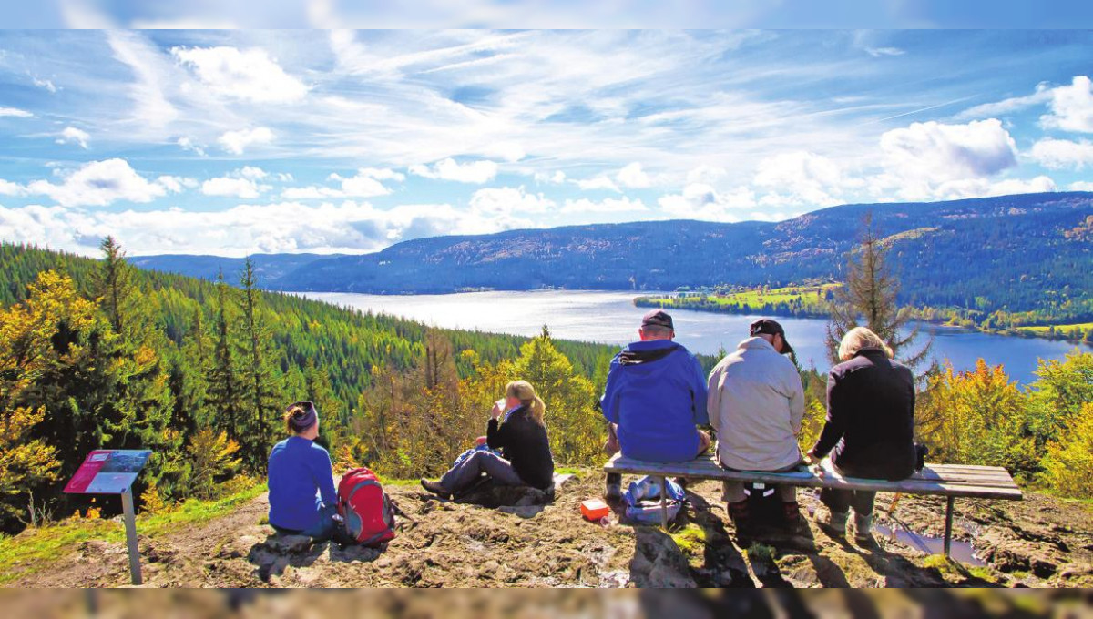 Wöchentlich mit dem Reisebus an die Belgische Küste und in den Schwarzwald