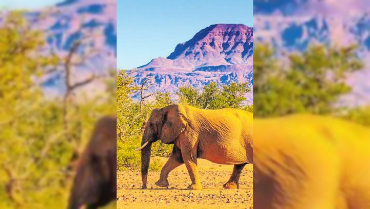 Namibia – Die Schönheit Afrikas