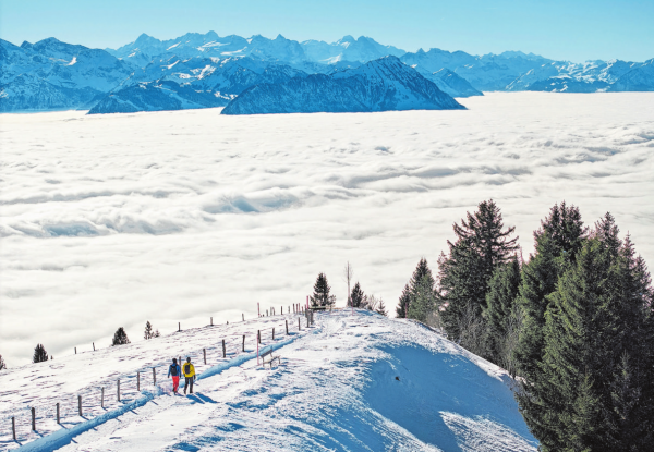 Rigi - die Königin der Berge erleben